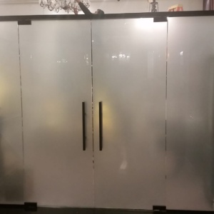 Custom Glass Double Door and Wall System