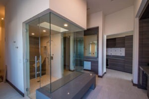 Frameless Glass Shower Door Enclosure System
