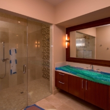 Custom Glass Shower Door Enclosure System with Custom Mirror