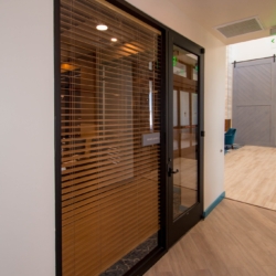 Interior Window & Door System - Revel Nevada