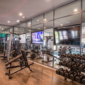 Commercial Mirrors for Castile Clubhouse