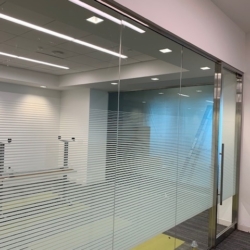 Molasky Law Office Job