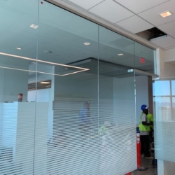 Molasky Law Office Job