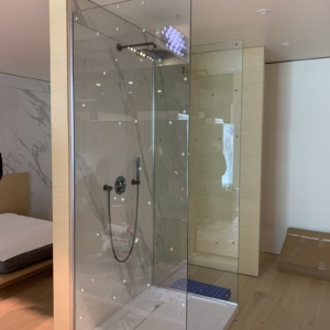 Shower Doors Las Vegas