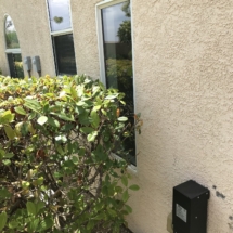 Window Glass Replacement