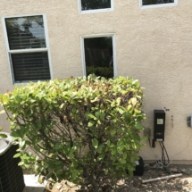 Window Glass Replacement