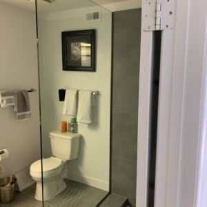 Frameless Shower Doors