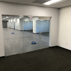 Heavy Glass Walls and doors Las Vegas