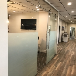 Glass wall system with barn door and ladder pull handle