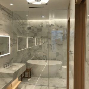 Frameless Showers