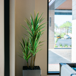 Lifetime Living Commercial Glass Project